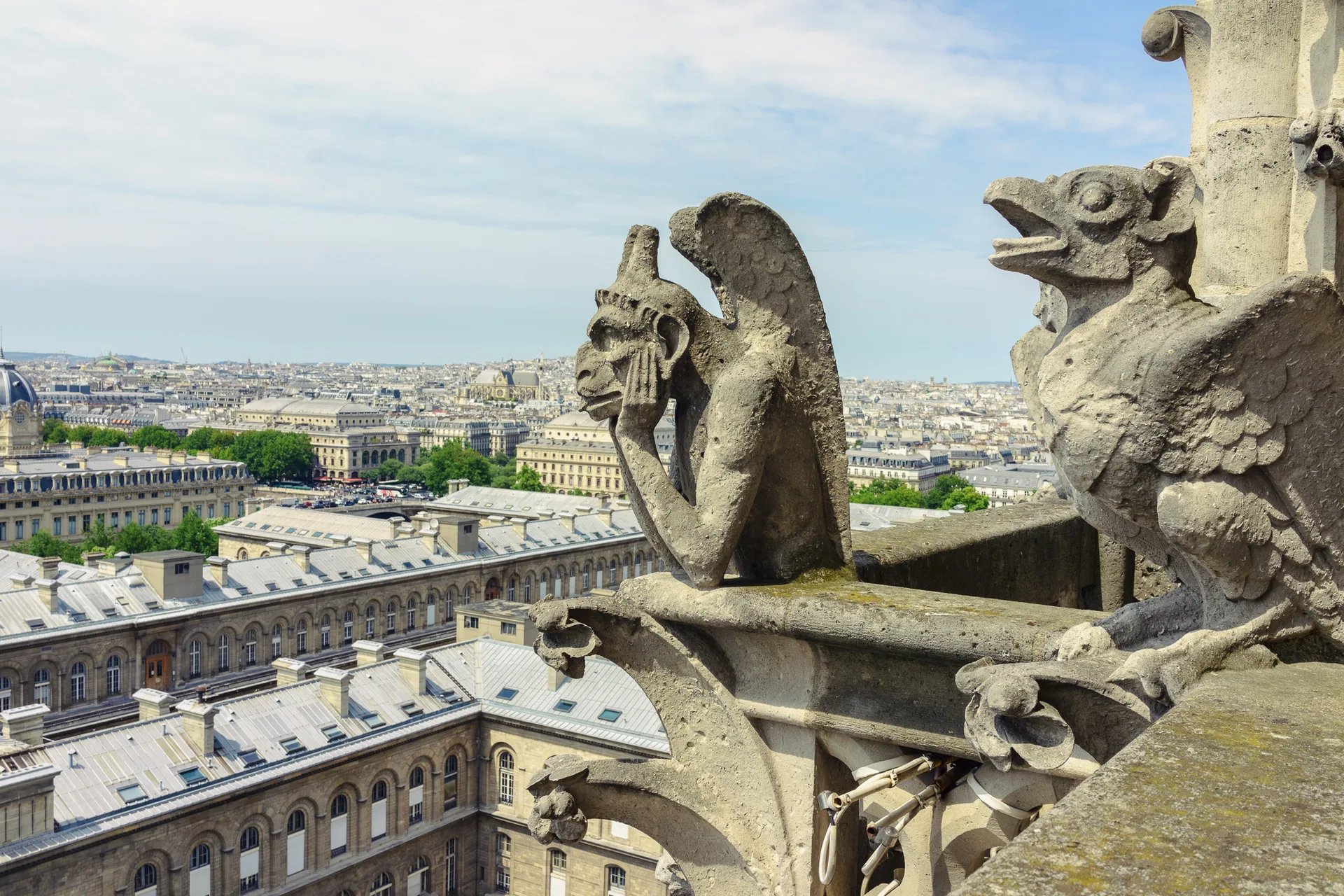 AfterImage of 680ec59e3ebb6b3a00babf70