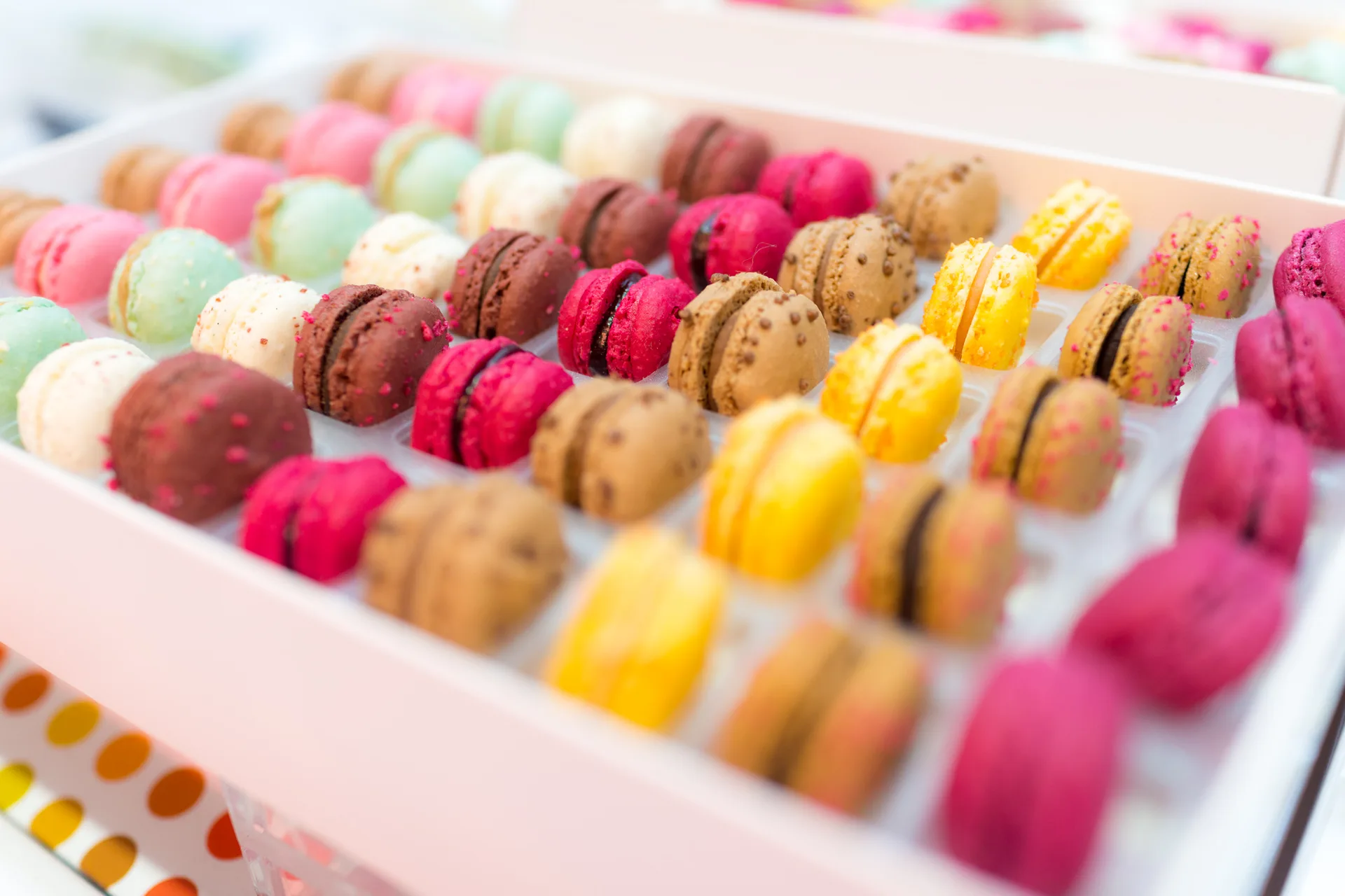 AfterImage of 680ec59e3ebb6b3a00babfb8