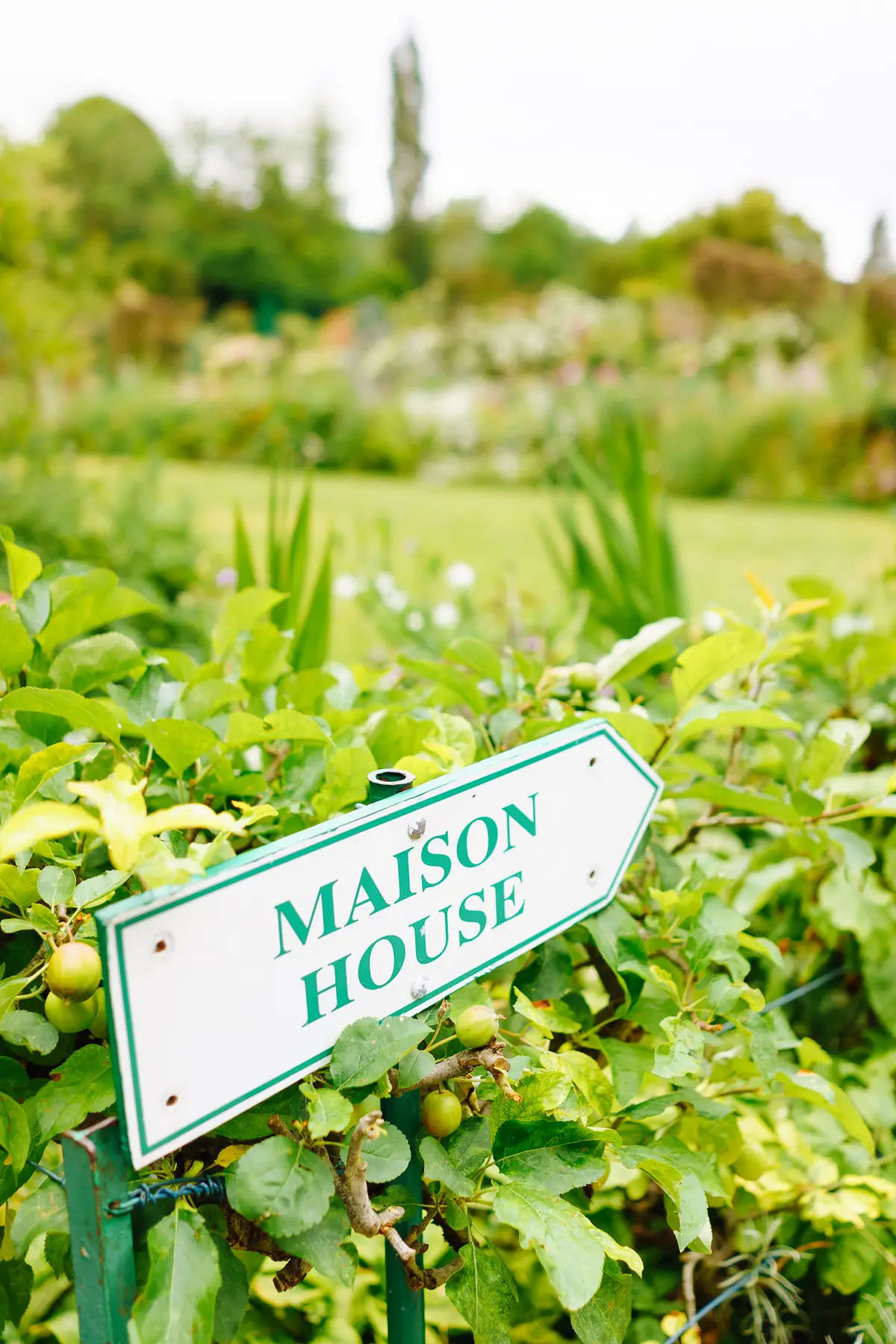 AfterImage of 680ec59e3ebb6b3a00babf77