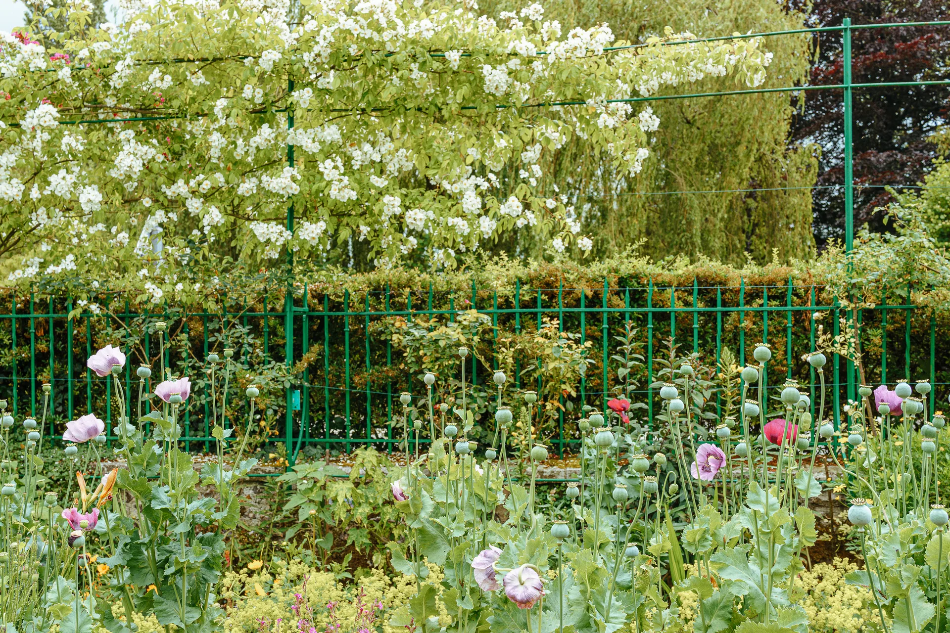 AfterImage of 680ec59e3ebb6b3a00babf7b