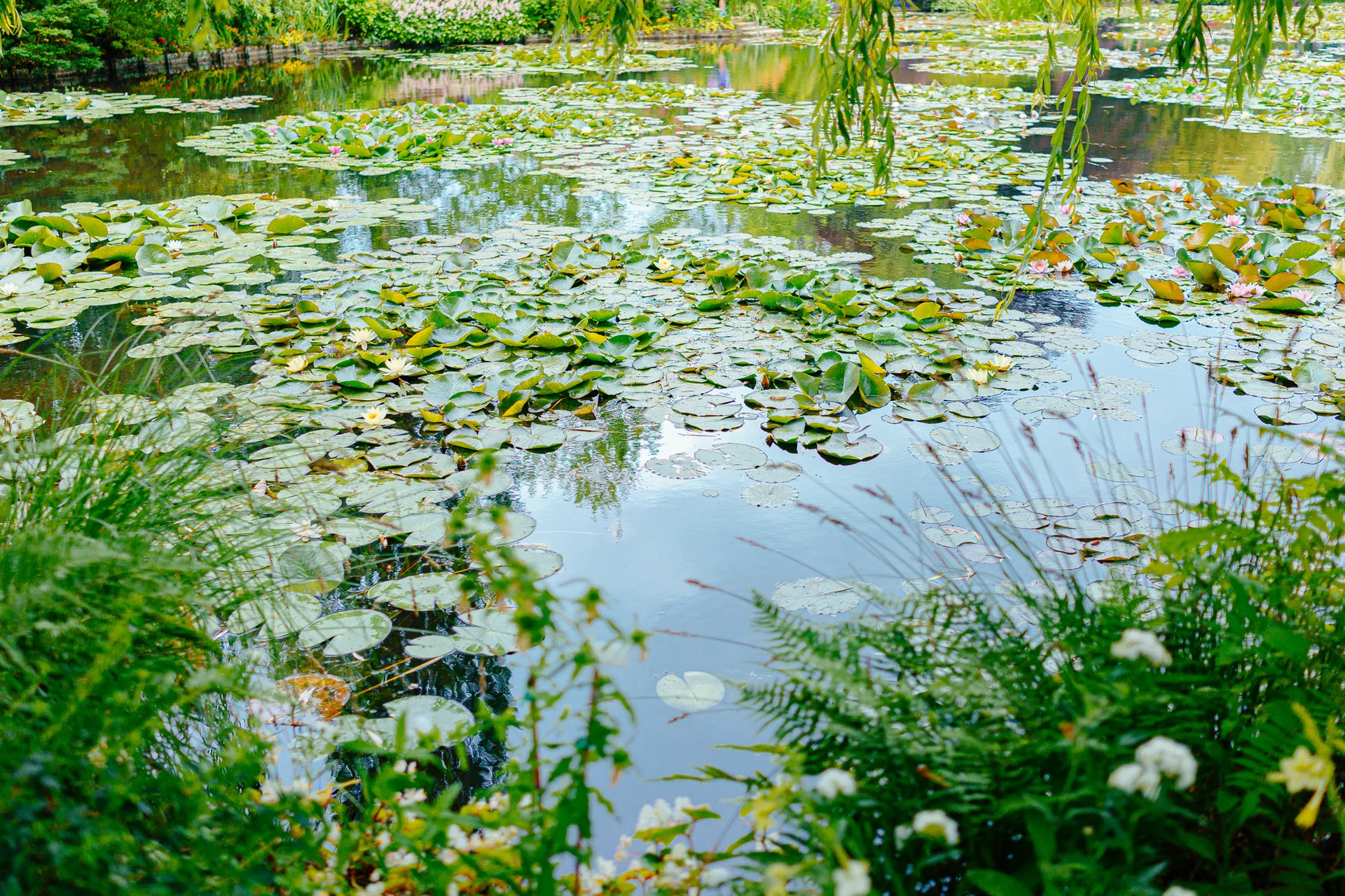 AfterImage of 680ec59e3ebb6b3a00babf7e