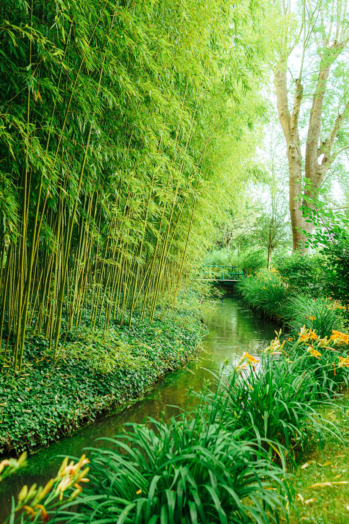 AfterImage of 680ec59e3ebb6b3a00babf7f