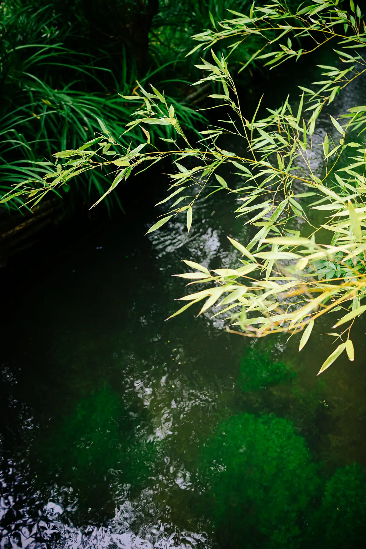 AfterImage of 680ec59e3ebb6b3a00babf80