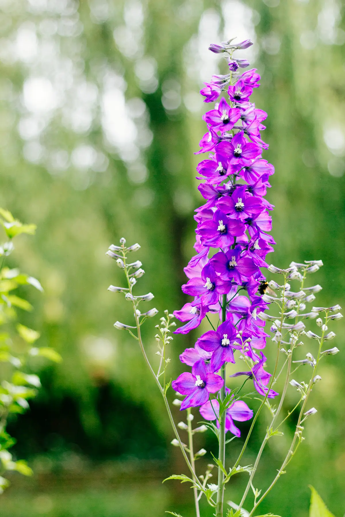 AfterImage of 680ec59e3ebb6b3a00babf81