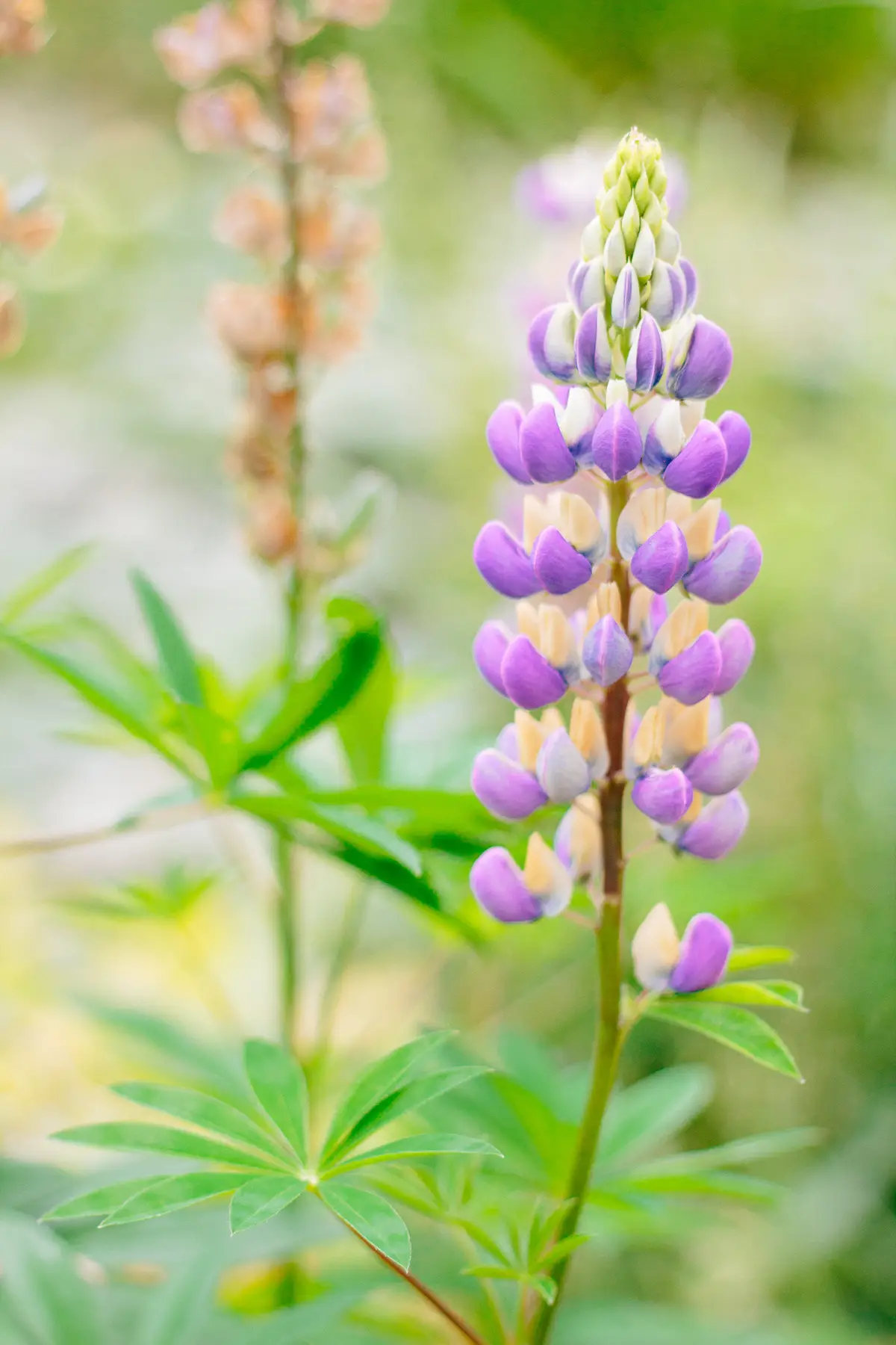 AfterImage of 680ec59e3ebb6b3a00babf83