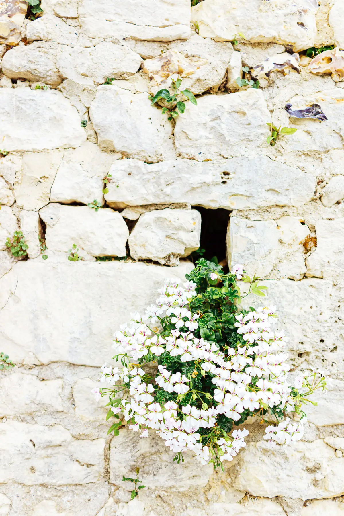 AfterImage of 680ec59e3ebb6b3a00babf84