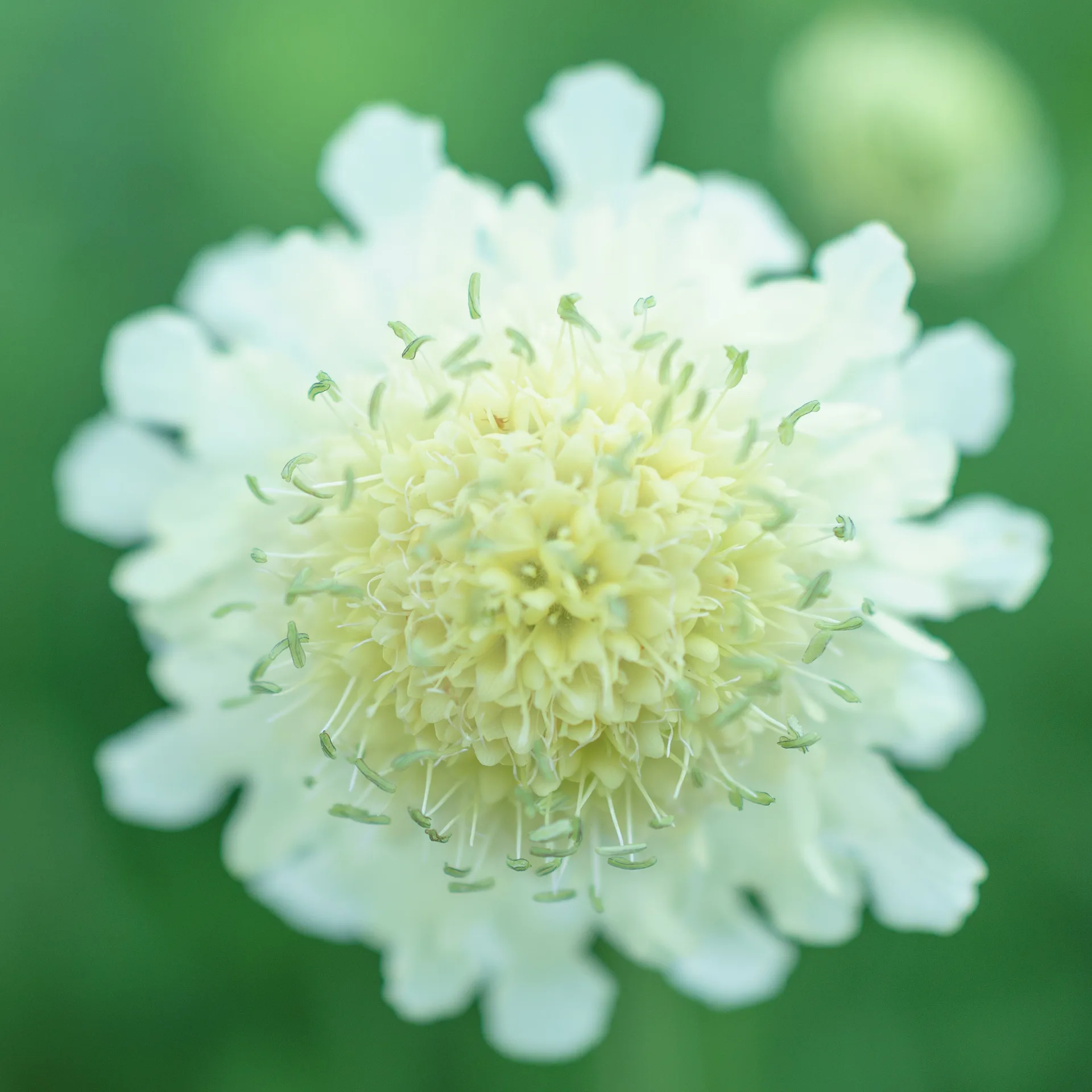 AfterImage of 680ec59e3ebb6b3a00babf86